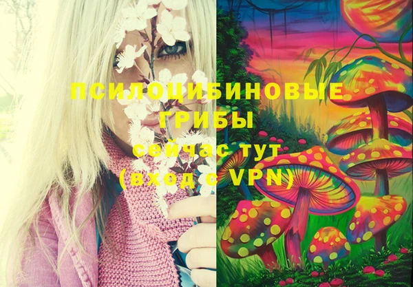 марки lsd Балабаново