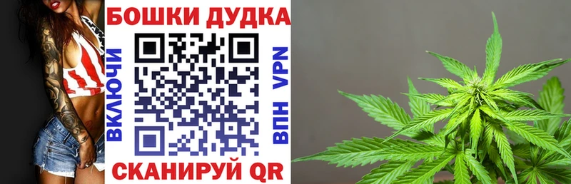 Бошки марихуана план Ярцево